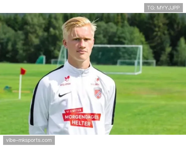 哈兰德在莫尔德首秀中表现稳健，展现出色潜力与技术实力。